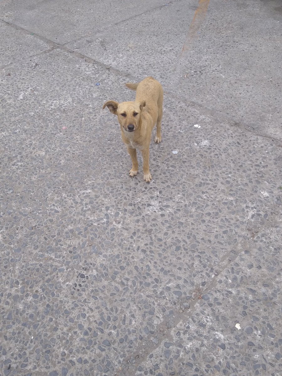 JorgeJaime_1's tweet photo. Ya casi termino solo que hoy tengo que cargar agüita también está buena la calor 🥵 si gustas apoyarme para un suero 🙈 en mi perfil están mis datos https://t.co/9cUE7J9LFe