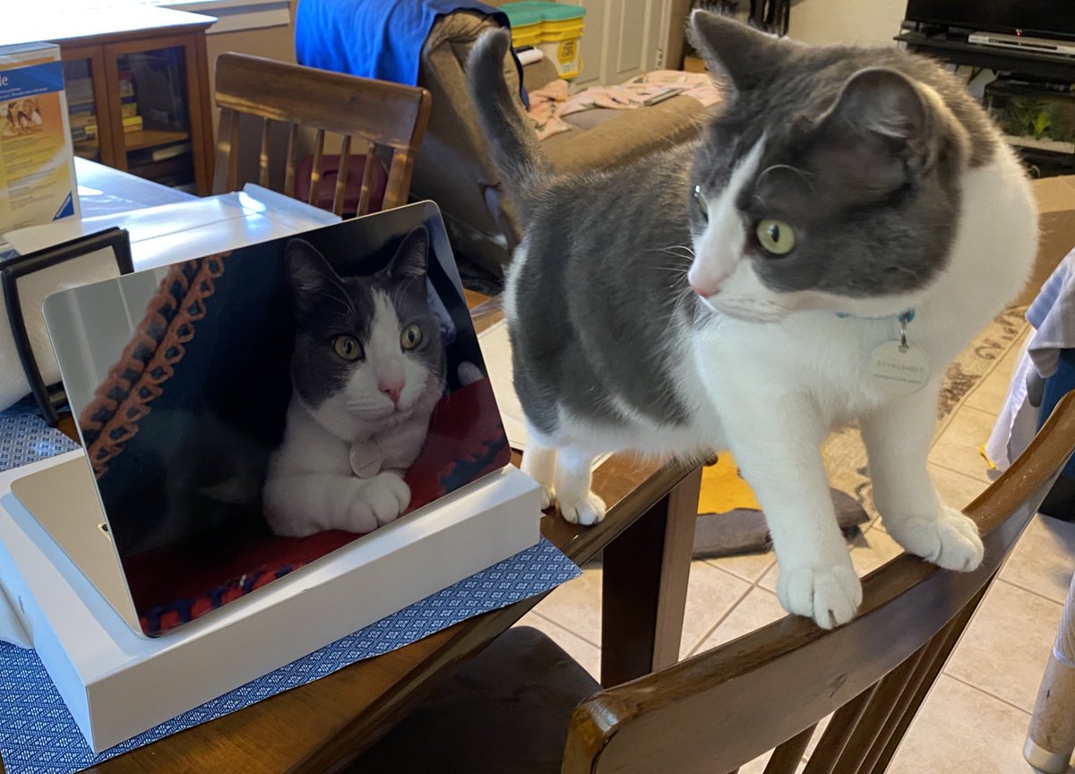 Kat Volk tweet media