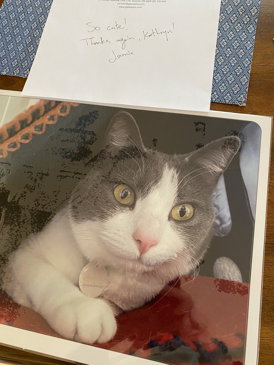 Kat Volk tweet media