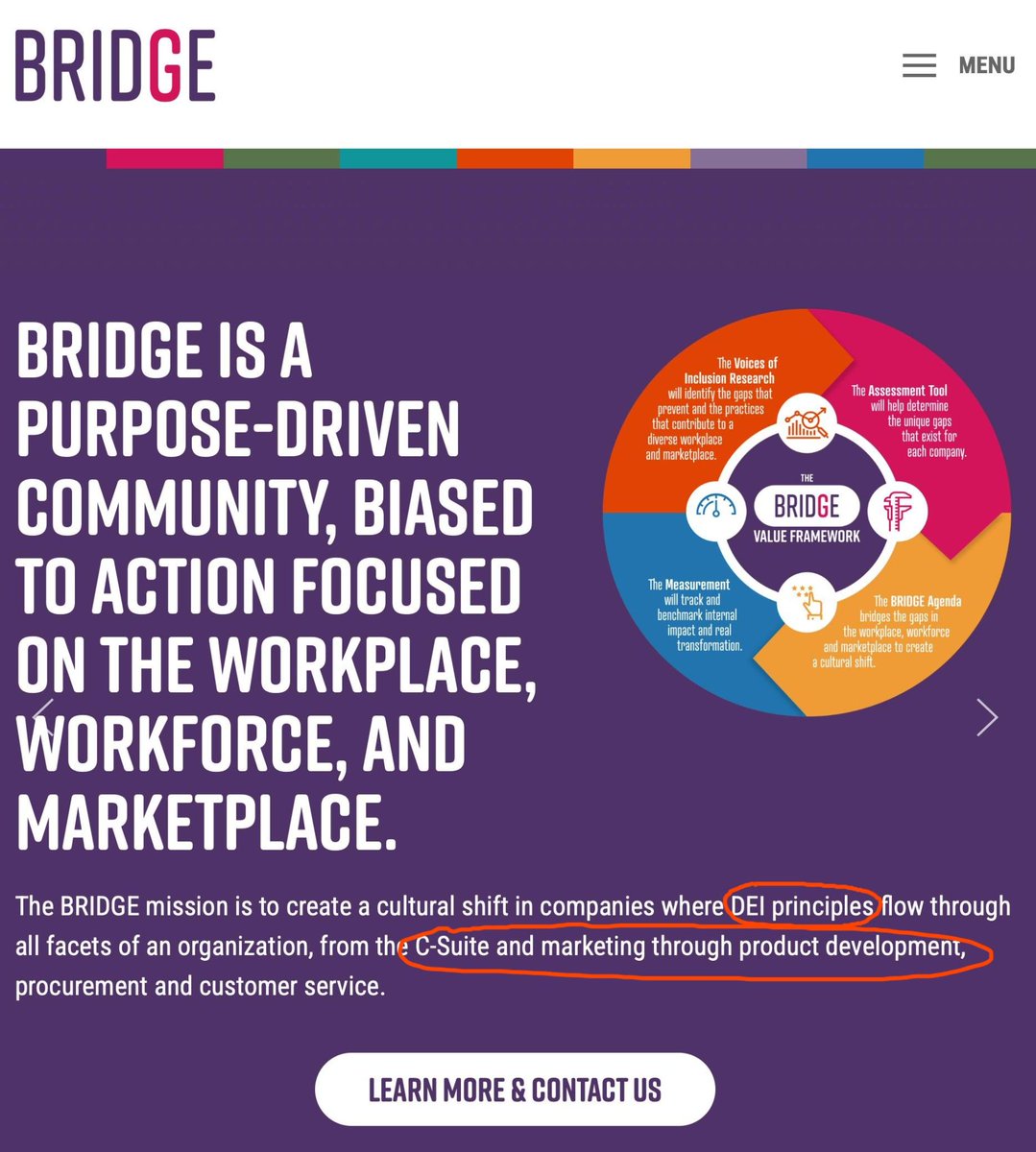 We have destroyed the branding of DEI. Here's a possible rebrand: BRIDGE.