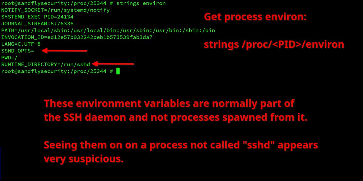 CraigHRowland's tweet photo. Looking at the xz backdoor, it has one particular trait for spawned processes in the environment that is unusual. Linux command line forensics like so:

strings /proc/<PID>/environ

The RUNTIME_DIRECTORY and SSHD_OPTS are odd...thread. https://t.co/PGZ6DICpAl