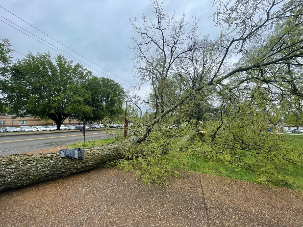 Our Field Responders have been out making sure whatever issues like this tree that came down on Hill Road near Granberry Elementary was taken care of as soon as possible. #weatheraware