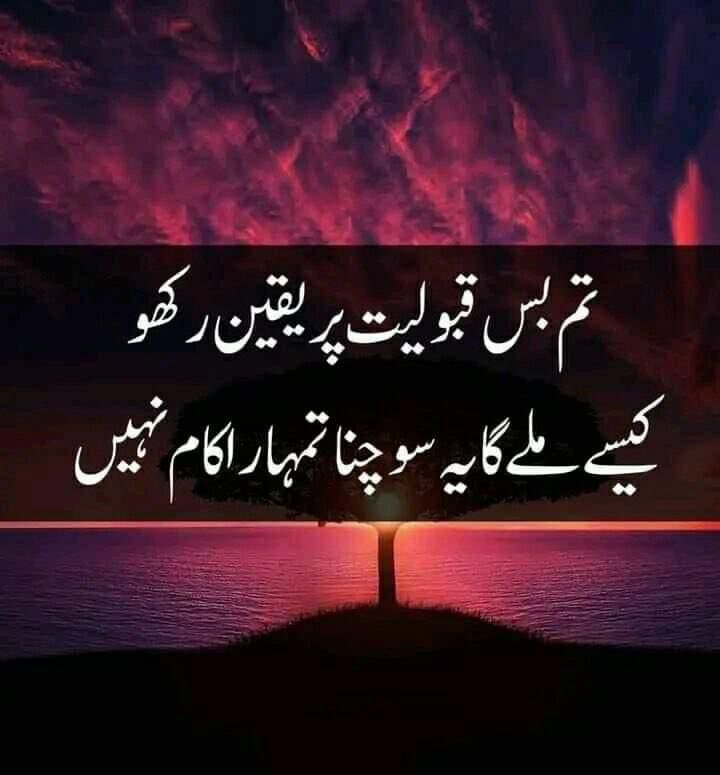 Assalam o Alaikum 
Good Morning 🥰