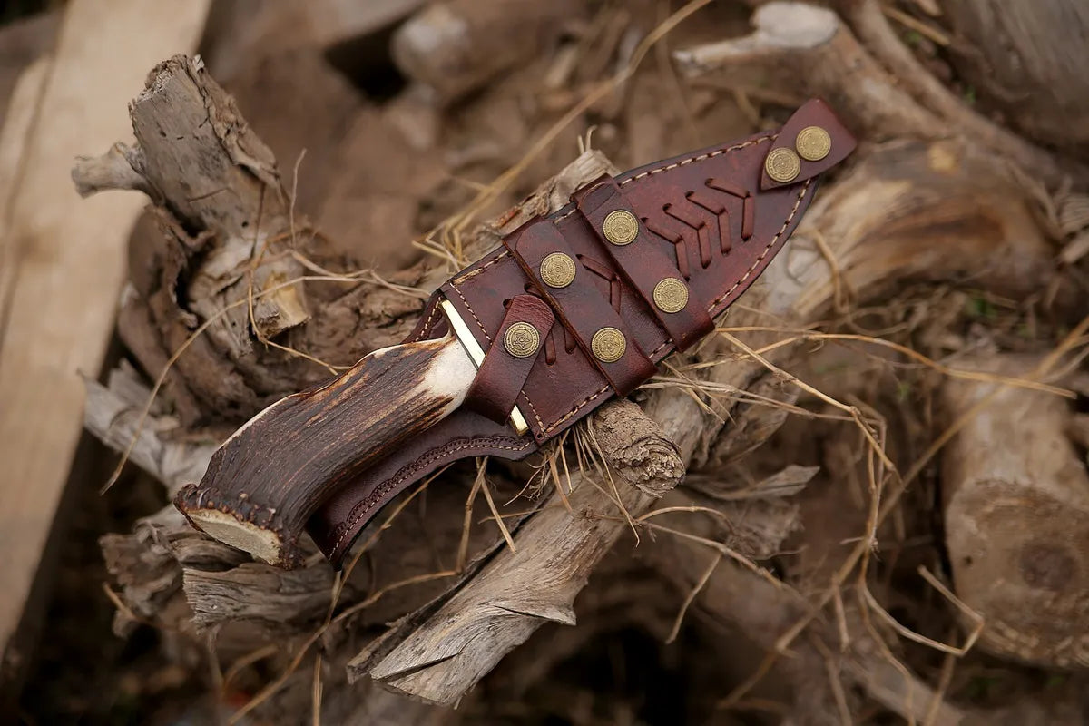 drknivespro's tweet photo. Damascus hunting knife Stag antler handle bowie knife handmade knife with sheath
For sale Go Get your Now Shop Link Mentioned ⬇️
https://t.co/YwnTq1KEjF
#knives #antler #damasus #handmade #drsknives #kniveExports https://t.co/9vEcep2e6l