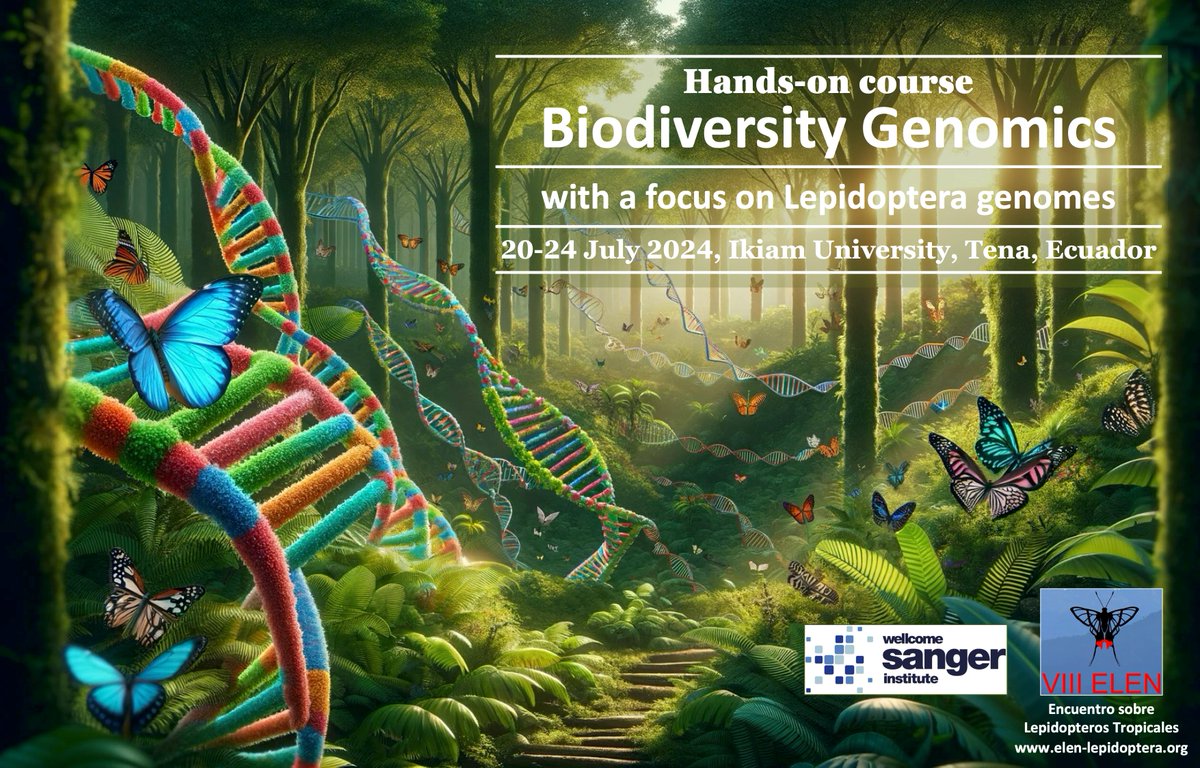 🦋 Pre-ELEN Course🧬: INTRODUCTION TO BIODIVERSITY GENOMICS In Tena, Ecuador (Jul 25-27, 2024). For students & researchers from Latin America. Taught by experts from the Wellcome Sanger Institute. Details & apply: elen-lepidoptera.org/biodiversity-g… 📅 Application Deadline: April 30, 2024