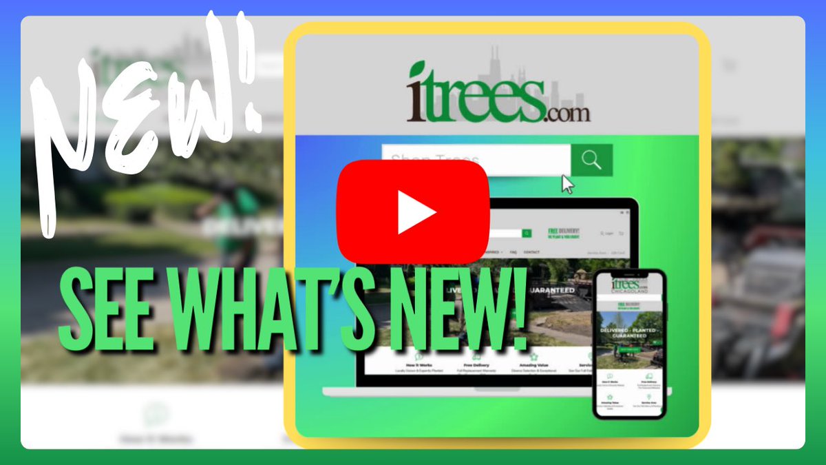 iTreesChicago's tweet photo. Whoop Whoop! We've upgraded. Move over old website. We are now powered by @Shopify 🤩!!!

Check out what's new ➡️ https://t.co/EiKvkCa39f https://t.co/vwb2qdaRMc