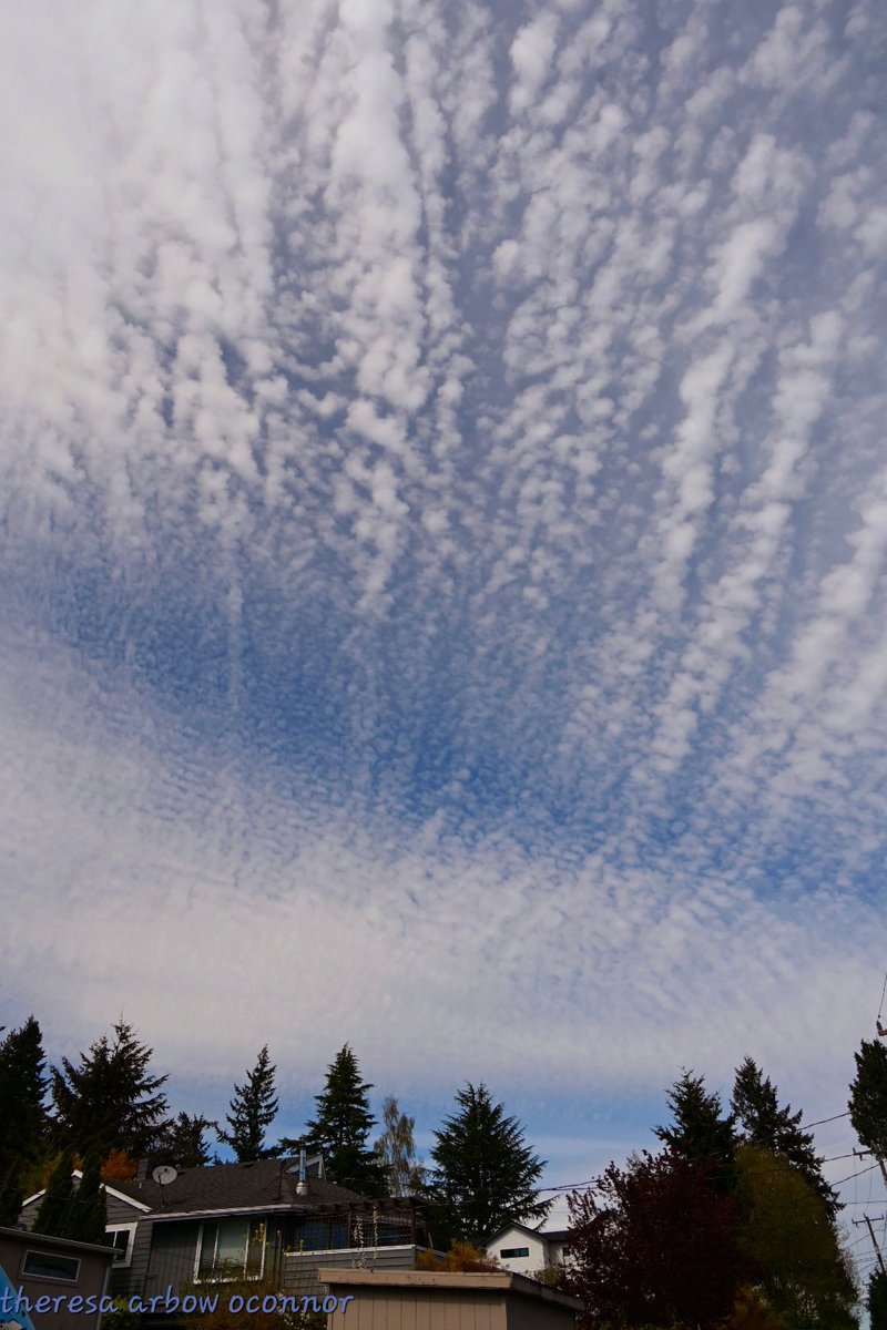 Beautiful clouds in #WestSeattle #wawx #pnw #clouds ♡