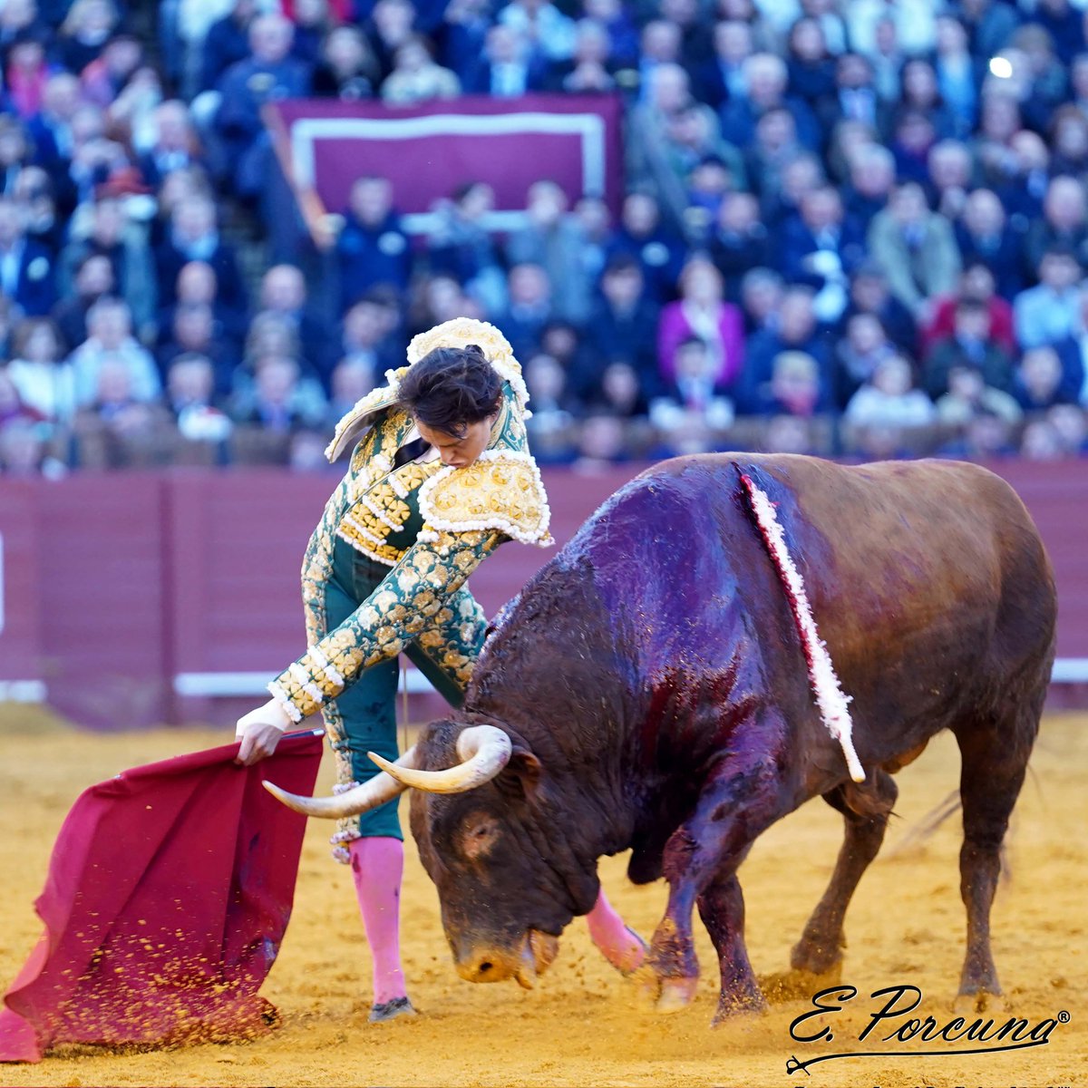 EDUFOTOROS's tweet photo. SEVILLA 31-03-2024 @RocaRey https://t.co/18EdZLVagL