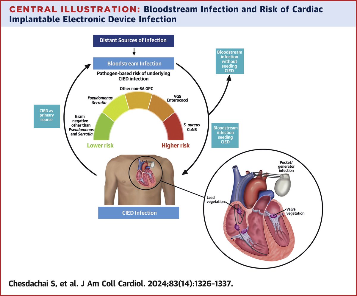 Check our recent review in JACC on CIED-related infective endocarditis jacc.org/doi/10.1016/j.… Full text link: authors.elsevier.com/a/1isAB2d9GH~5… @MayoClinicINFD @LBaddour1 @MayoClinicCV @DrDeese99 #IDTwitter