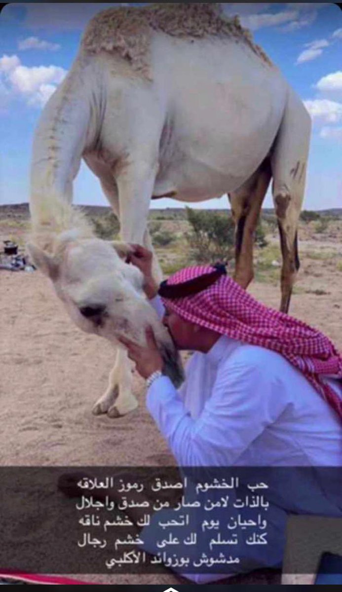 حب الخشوم