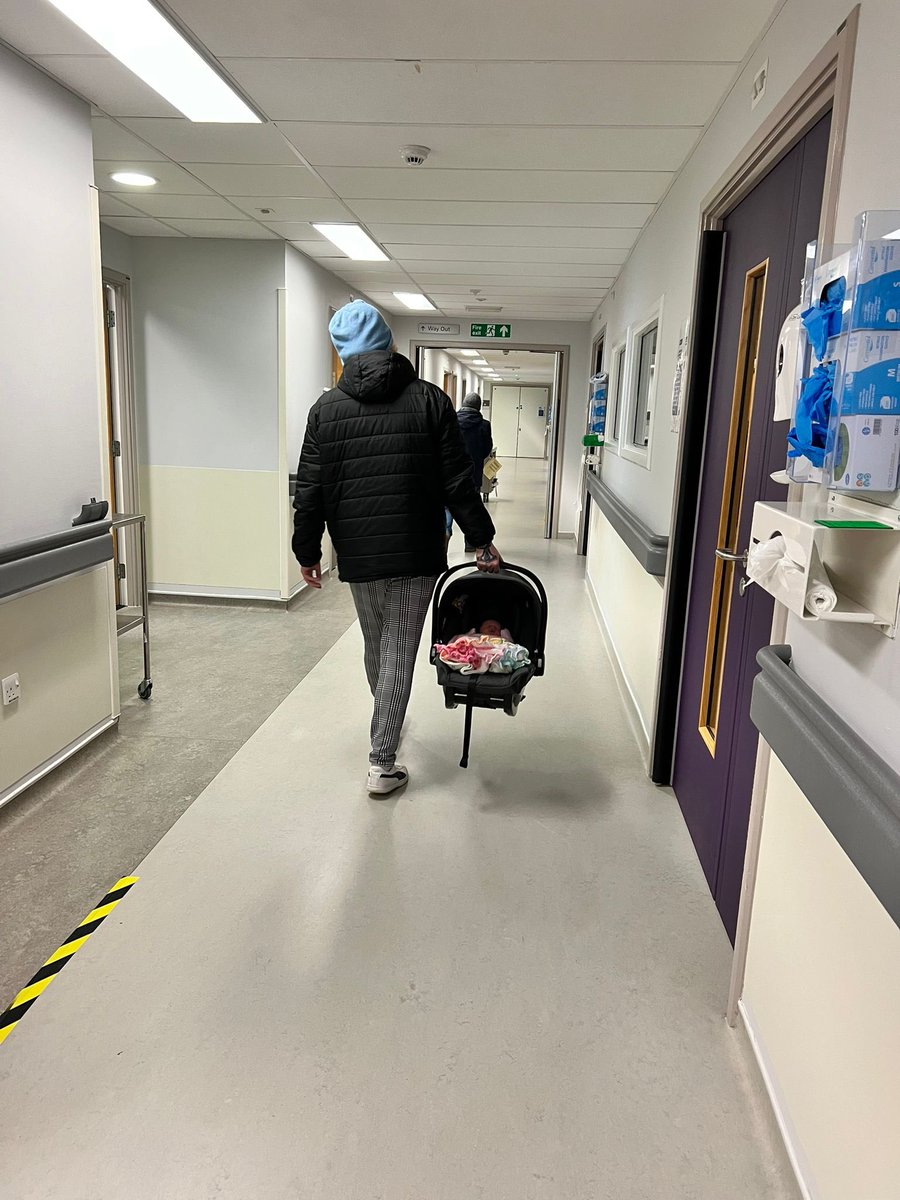 GuTs INSEPSION | Kyle tweet media