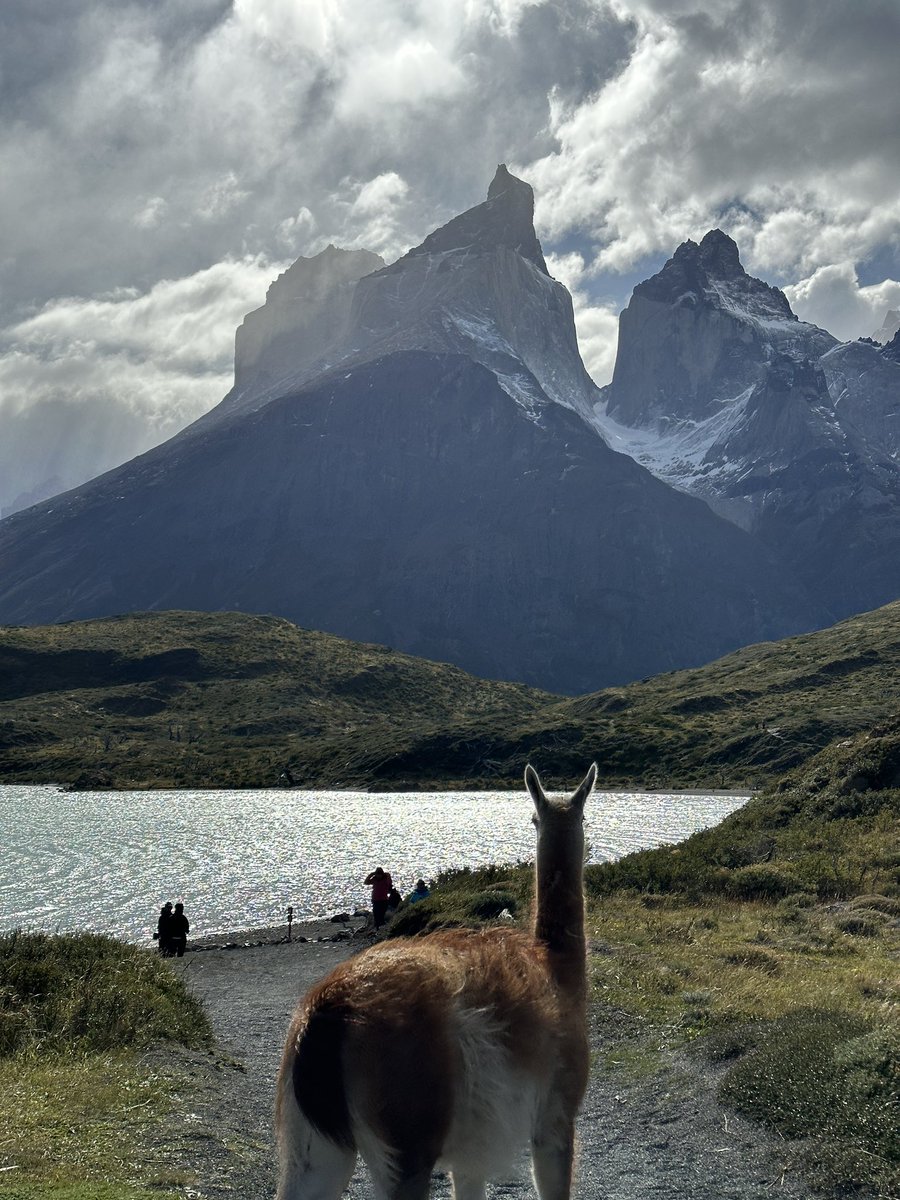 Love Patagonia