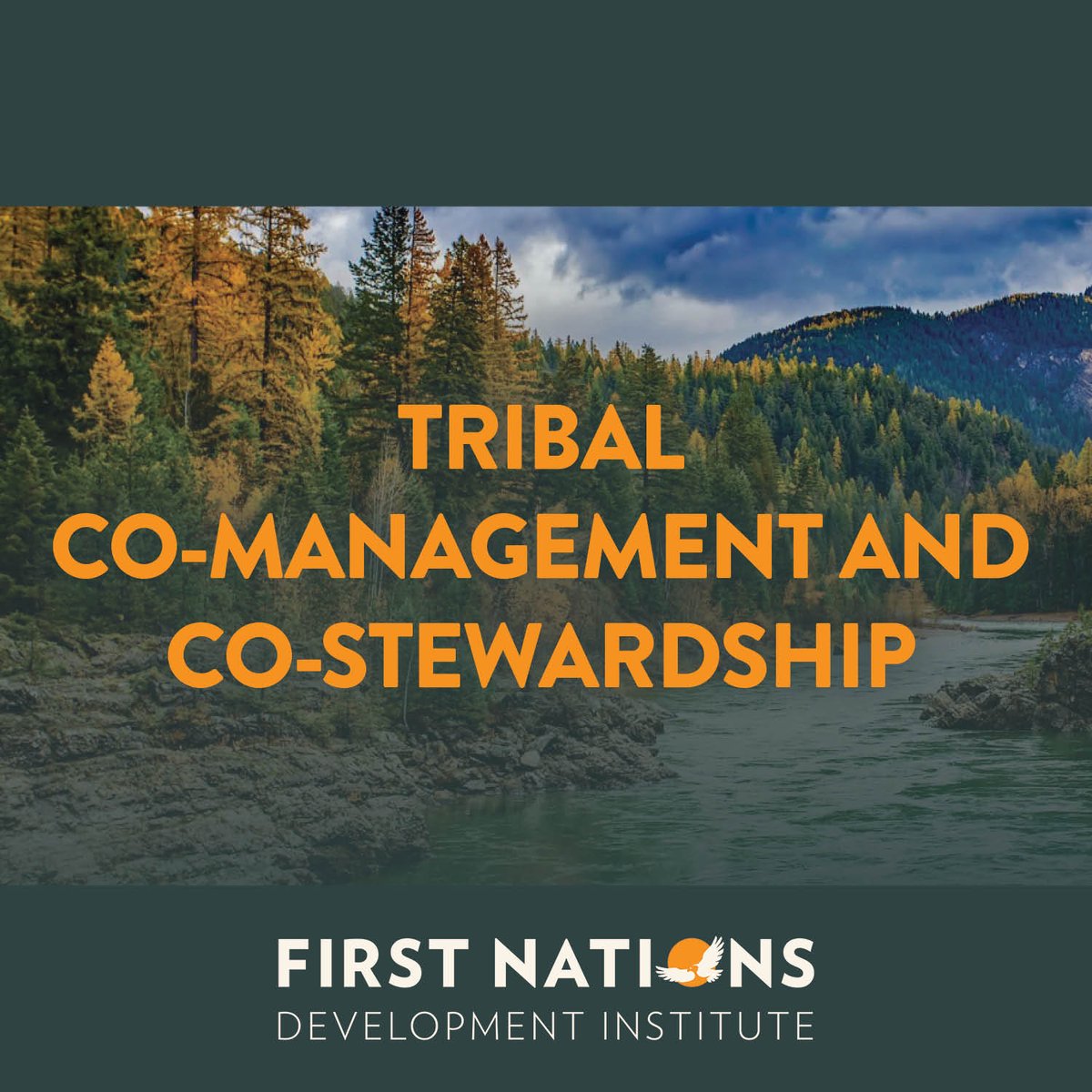 First Nations will be awarding 5 grants of $75k each to tribes looking to establish co-management or co-stewardship structures with federal agencies. Learn more & apply by 4/18: bit.ly/3xj0E54 Questions? Register for the Q&A webinar TOMORROW 4/3: bit.ly/3PfrNfp