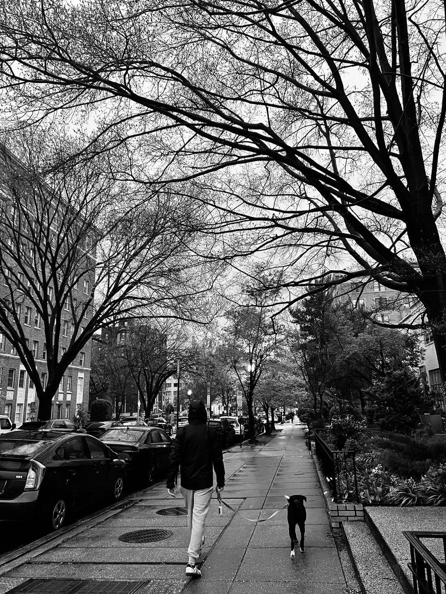 Rainy days and Tuesdays. #dupontcircle #dc #rainyday