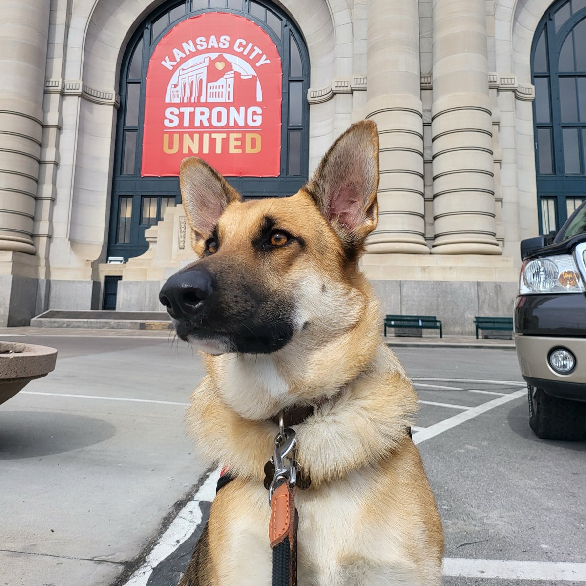 TADSAWinc's tweet photo. Congratulations to Trigger for being this week's #TopDogTuesday! πΎπ₯
In these photos, he went with his owner, Francis, to the Kansas City Union Station π https://t.co/cWlmIVSTZh