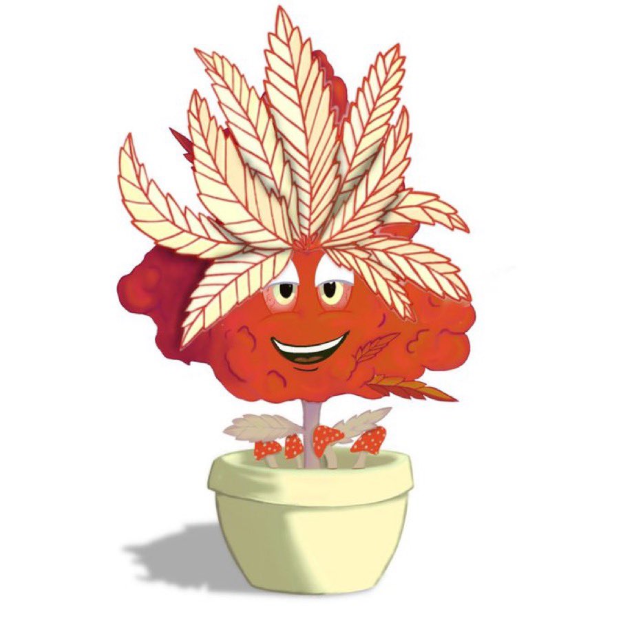 my_BestBUD's tweet photo. @MrSpeezusChrist @radixdlt Hey there bud! #Radix is a big fan of mushrooms 😄 https://t.co/zNJujRXpyQ