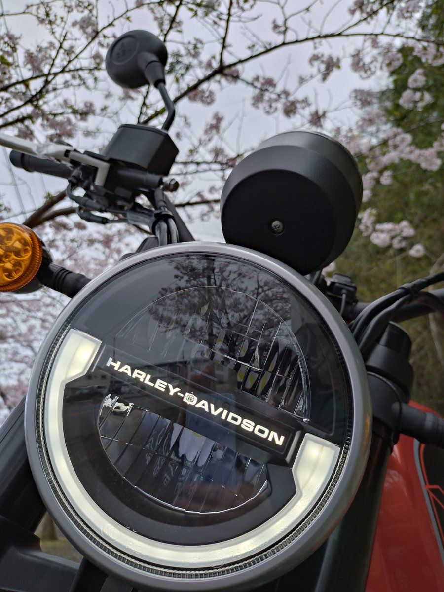 itsukiandmore's tweet photo. @Harley_D_JP
昨日 X500 納車🎉

ギアインジケータを
追加していただきました👍

取り回し 重量 足つき 価格帯が
身の丈に合う車両を作って
くれてありがとう🙇
ハーレーダビットソン

158cmリターン女性でも
乗りやすいパワフルな車両✨
これ以外 愛せないくらい
気に入ってます💓

桜と一緒 嬉しい🌸 https://t.co/2SA8oj9QIw