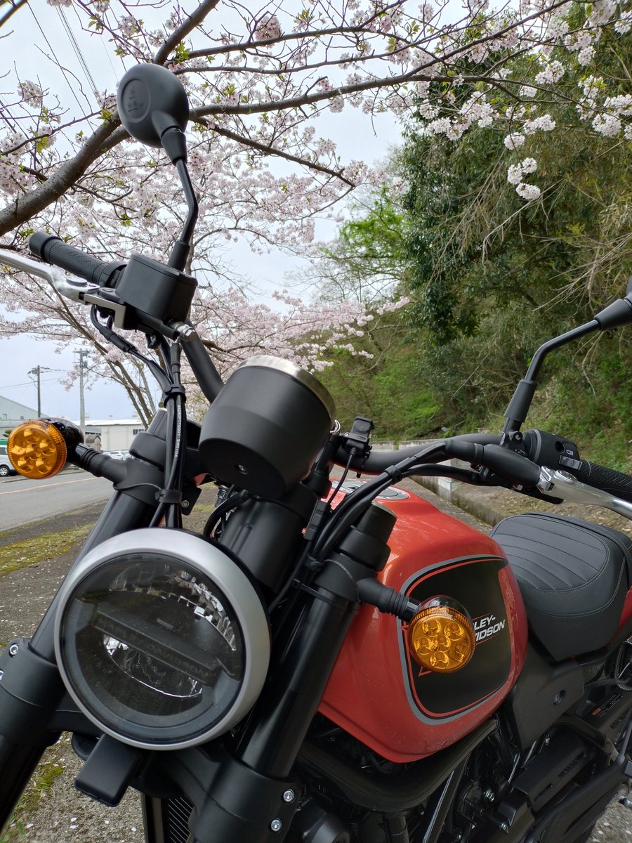 itsukiandmore's tweet photo. @Harley_D_JP
昨日 X500 納車🎉

ギアインジケータを
追加していただきました👍

取り回し 重量 足つき 価格帯が
身の丈に合う車両を作って
くれてありがとう🙇
ハーレーダビットソン

158cmリターン女性でも
乗りやすいパワフルな車両✨
これ以外 愛せないくらい
気に入ってます💓

桜と一緒 嬉しい🌸 https://t.co/2SA8oj9QIw