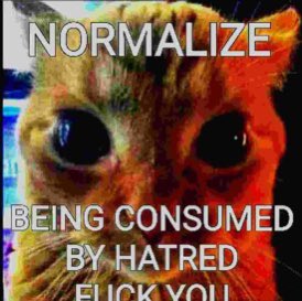 ripplyboy's tweet image. 