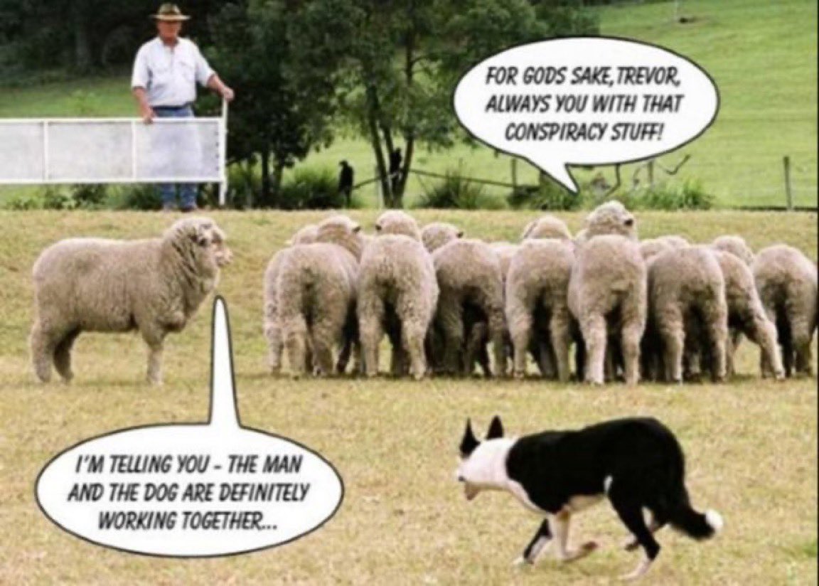 Apex_Actual_'s tweet image. Every kinetic encounter has a component of deception.

Trust your instincts.

~ Apx

#UnConquerable