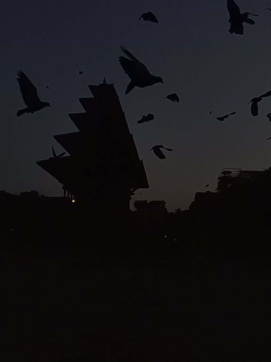 Flights of Fancy
 --  03 Apr 2024

#mobilephotography #mobilepics #X_is_New_Insta #unfiltered #experiments_with_exposures #Bhaktapur #morning #PicNiK #Pictures_Nirab_Kayastha