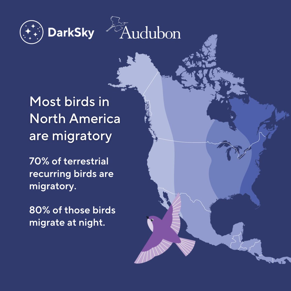 As we celebrate birds this spring, it’s vital to remember how fatal artificial lights and skyglow can be to migrating birds. During #DarkSkyWeek, pledge to stand with us as we call on excess lighting to be turned off to help ensure birds have safe passage. bit.ly/3xsMMFi