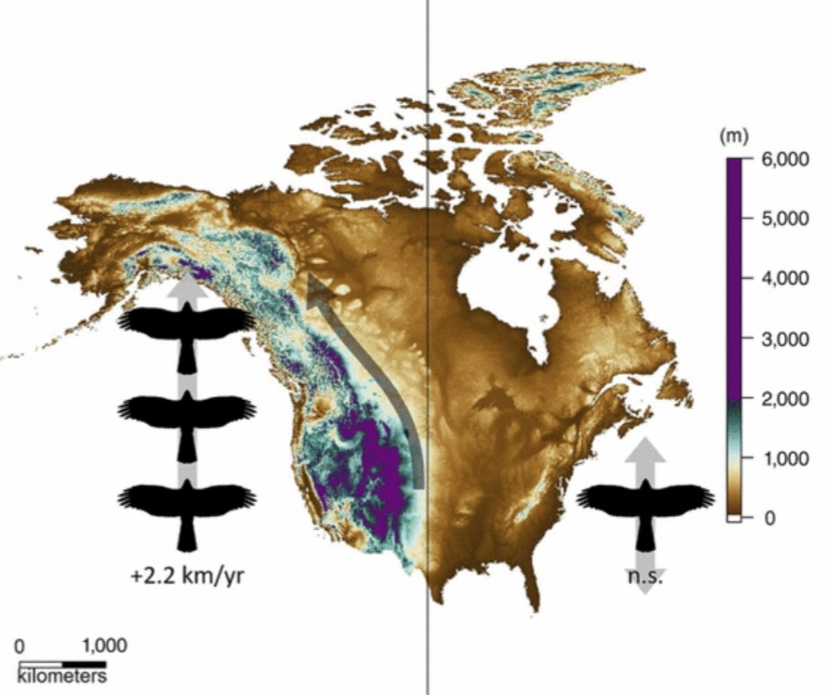 🚨 Commentary @PNASNews 🚨 Birds of North America are shifting poleward at fast speed west of the 100th meridian west but not east of it! The continental divide in range shifting birds of North America ⬇️ Fantastic study by Martins et al. 🏔 matter shorturl.at/etzZ0