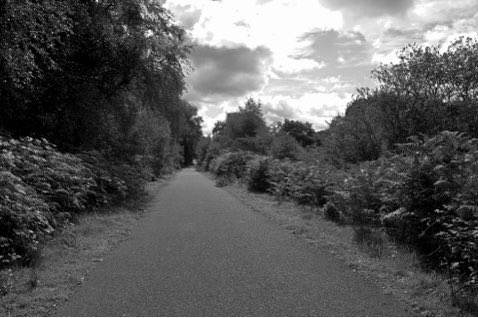 Path #panalltaparc #wanderlustwales
#visitwales
#thisismywales
#nikonphotography
#blackandwhitephotography
#photography
#findyourepic
#Welshphotography

Visit delweddauimages.co.uk
