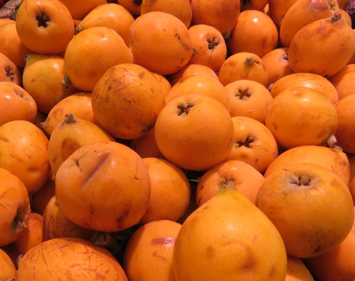 FRUITES DEL MES D'ABRIL: Llimona, maduixa, nespra, taronja.