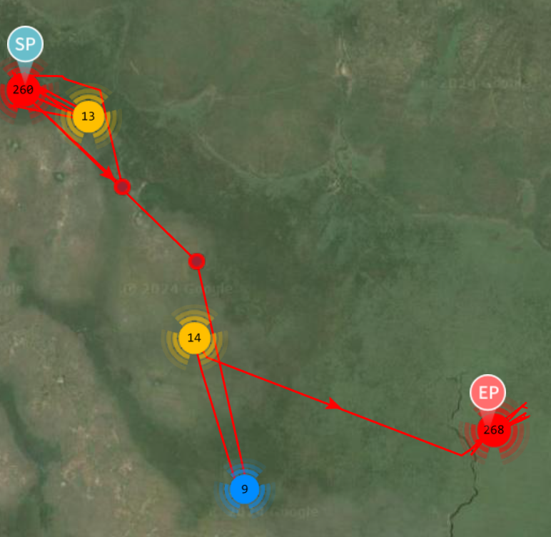 yoavperlman's tweet photo. After several days of apparent restlessness, often referred to as Zugunruhe, it seems that OA5E our tagged European Turtle-Dove has finally set off on migration from #SouthSudan on March 28th. We are eagerly awaiting its arrival back in Israel. Safe journey little hero! https://t.co/GPFSG3Bqoi