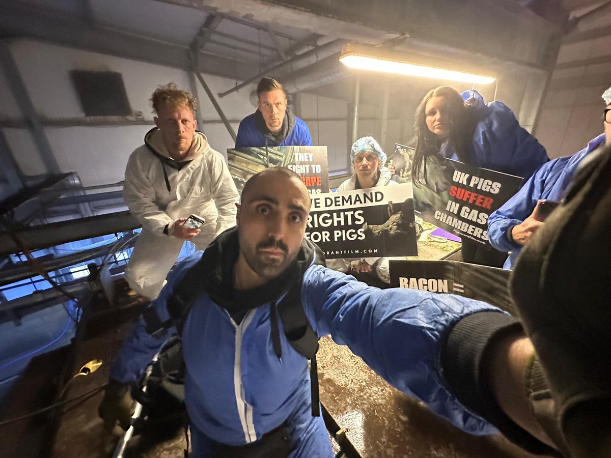 HAPPENING NOW! Currently occupying the Cranswick, Watton pig gas chamber. Stay tuned for updates. Go to my YouTube channel right now and share our latest investigation: youtu.be/Jrc0GN1Ujys