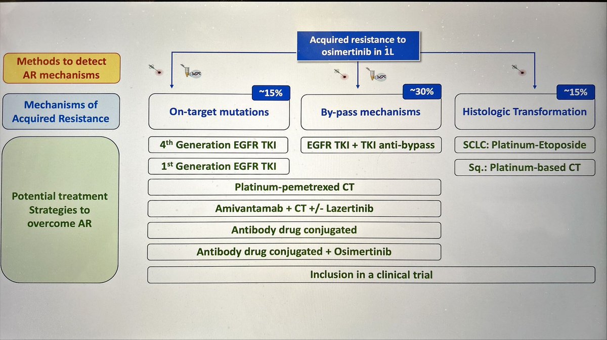 In this #ASCO Educational Book📕 we summarize in EGFR mut🫁: ✏️New EGFR TKI options in early stage ✏️New options in metastatic setting ✏️Mechanisms of acquired resistance and new drugs 🧬 online at ascopubs.org/journal/edbk Thanks to @stephanieplsaw @LeXiuning @HendriksLizza