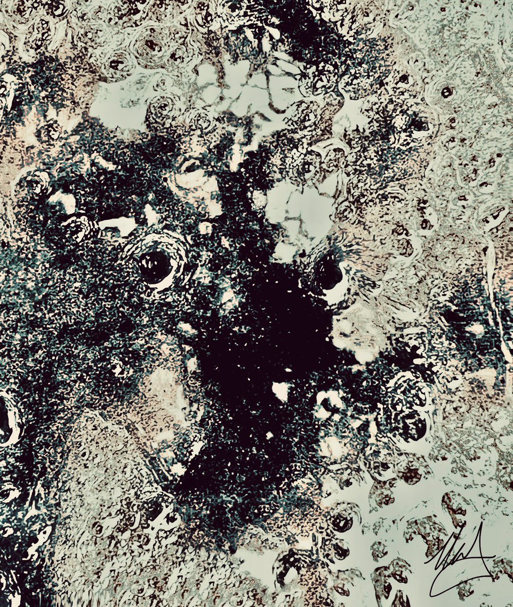 Kirsty-ann Johnstone tweet media