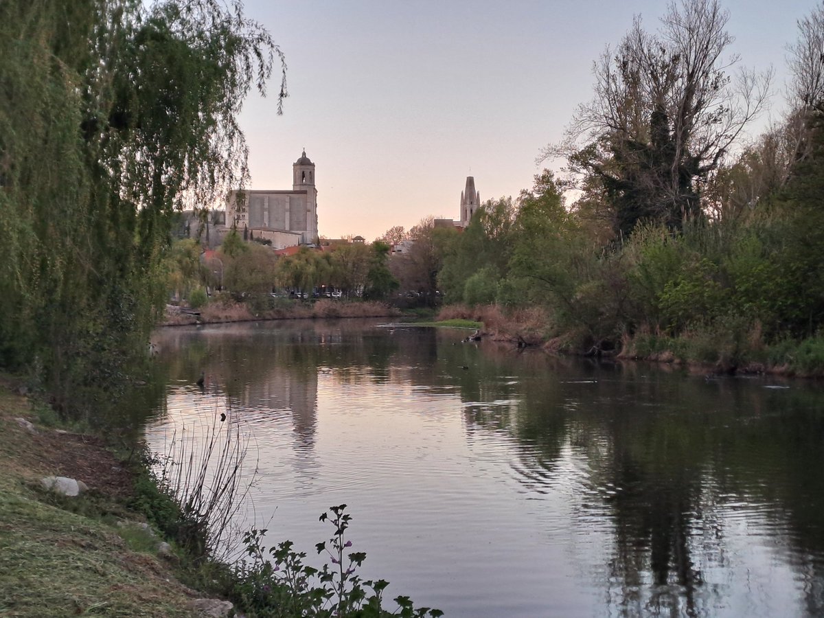 Bon dia gironines i gironins!
El Ter a Pedret