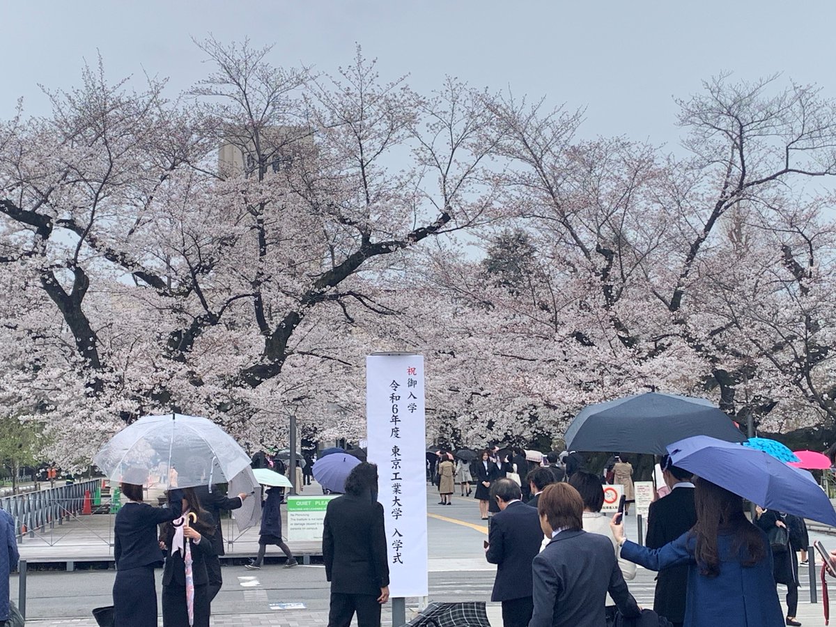 本日は令和6年度の入学式です。
あいにくの天気ですが、本館前の #桜 もちょうど見ごろになりました。

新入生の皆さん、入学おめでとうございます。

#東工大
#入学式