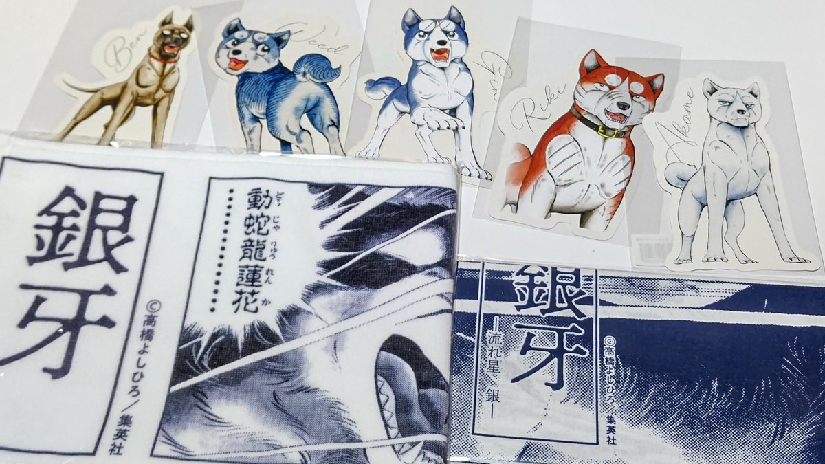 昨日は、東京に行って、銀牙グッズをたくさん買って来ました😆 1ヶ月前