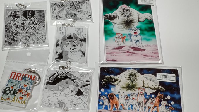 昨日は、東京に行って、銀牙グッズをたくさん買って来ました😆 1ヶ月前