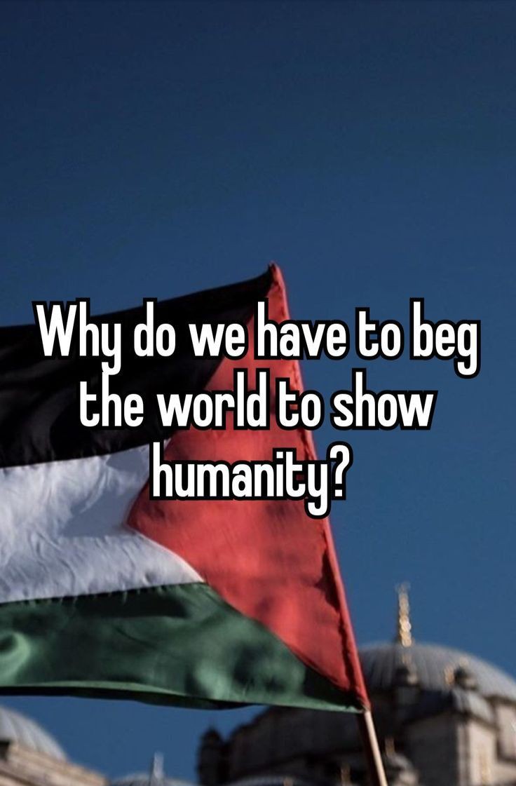 Waleed_56_'s tweet image. Humanity alive?