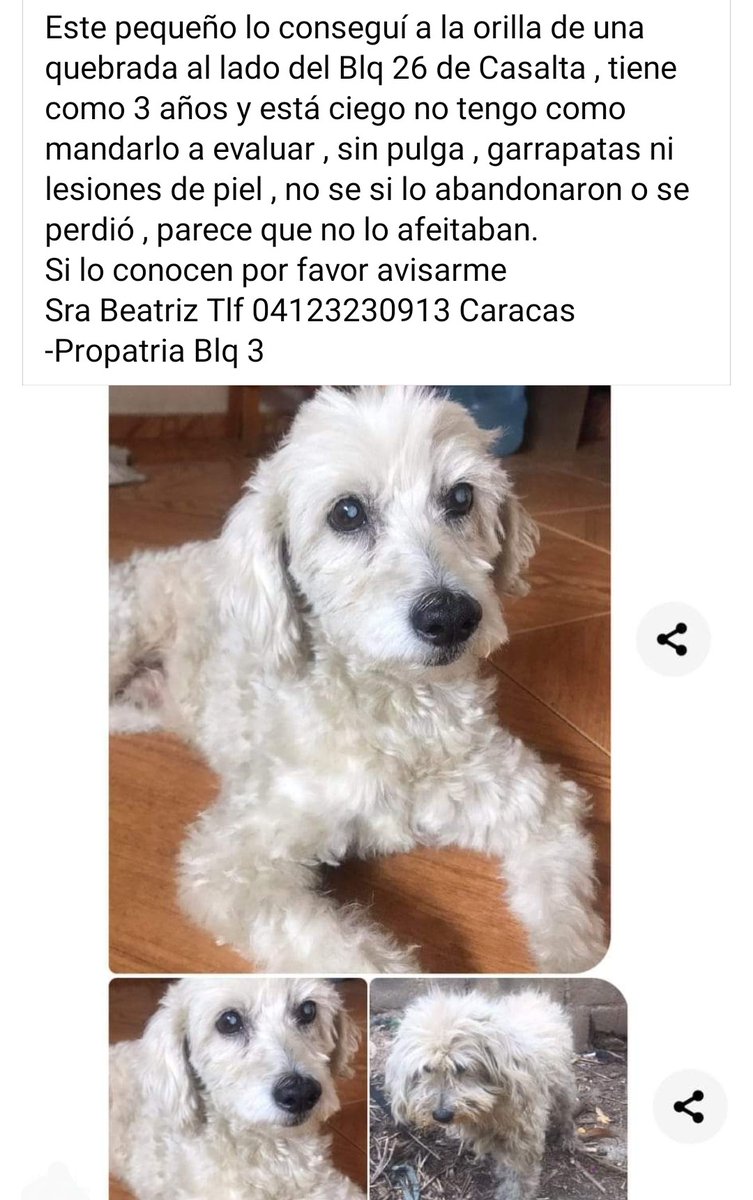 Se presume está EXTRAVIADO. Casalta - Pro Patria Caracas