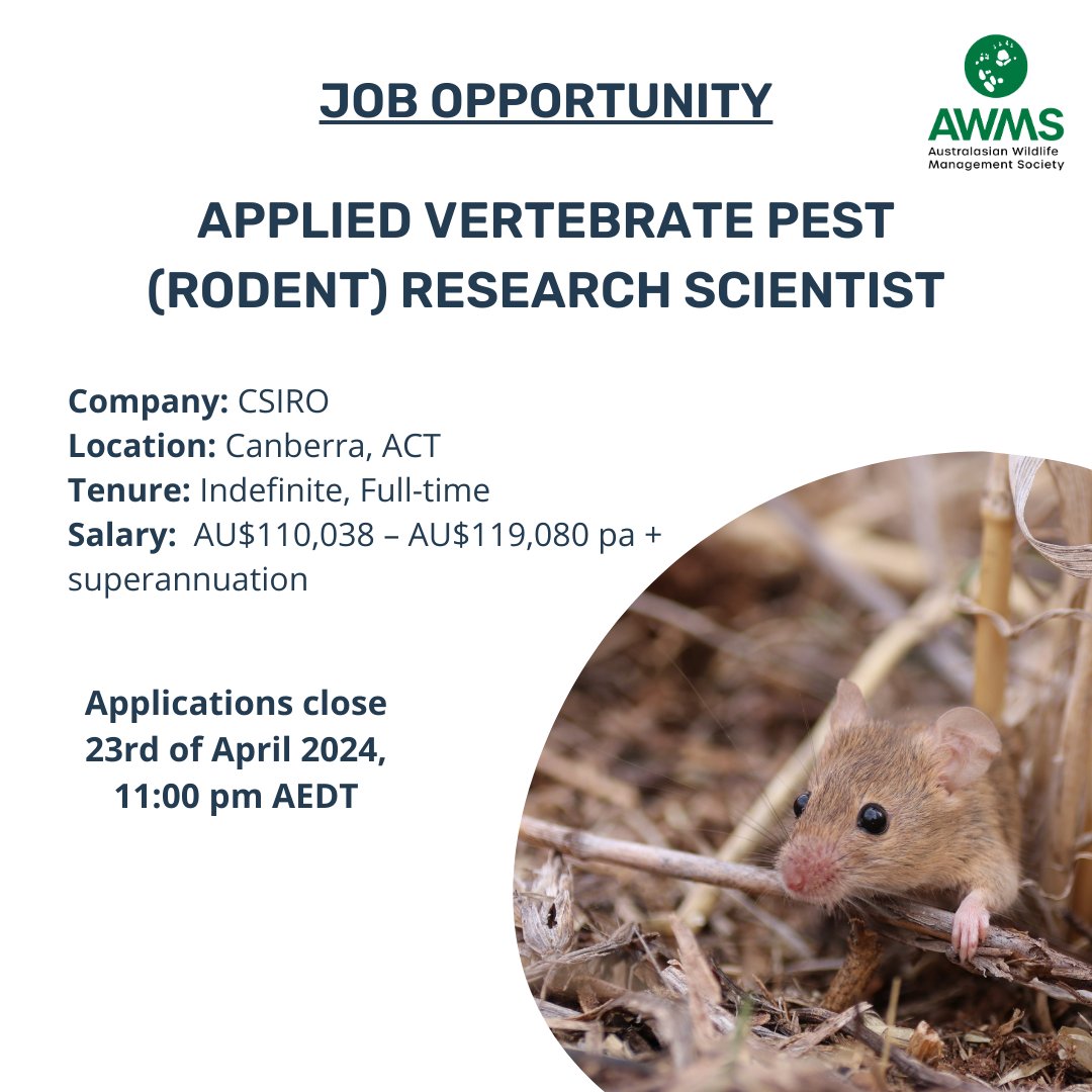 Job opportunity! Applied Vertebrate Pest Research Scientist role in rodent management. The role will focus on understanding and developing vertebrate pest management strategies in broadacre and intensive agricultural systems. Apply now: jobs.csiro.au/job/Canberra%2…
