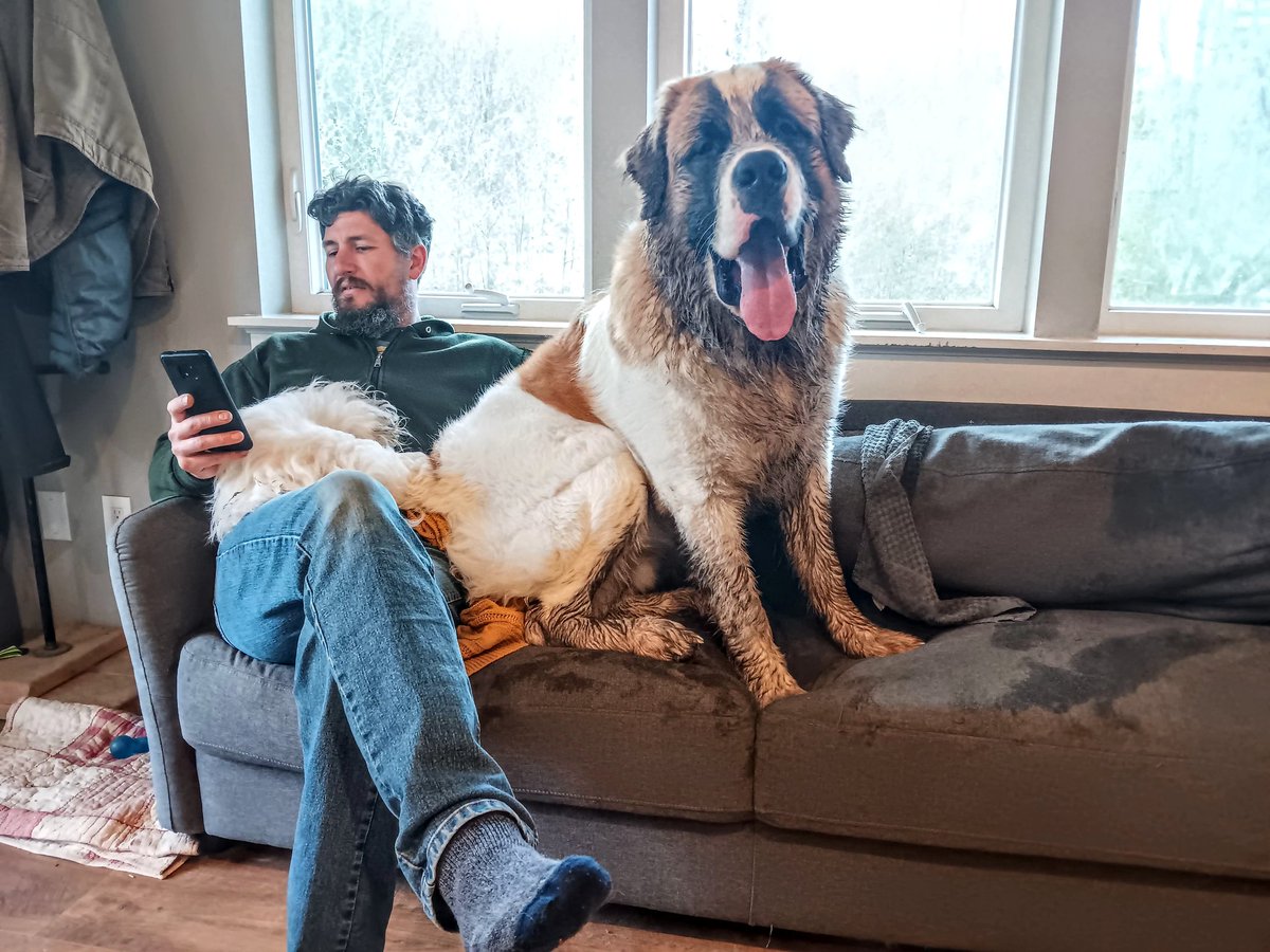 introvertedpnw's tweet image. Mud lovers club meeting has begun.