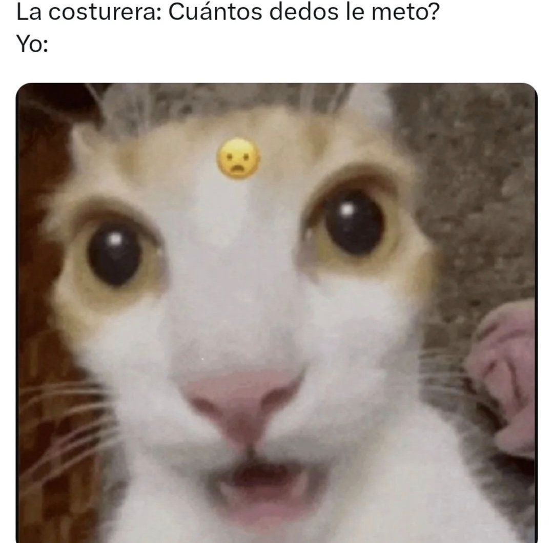 Un cafecito ☕ primero, no? 
😸😸😸😸

#boladepelos #michimeme #CatsOfX #gato #gatos #gatitos #gatosfelices #catslovers #mascota #mascotas #mascotasfelices #felinos #felinoslindos #michis