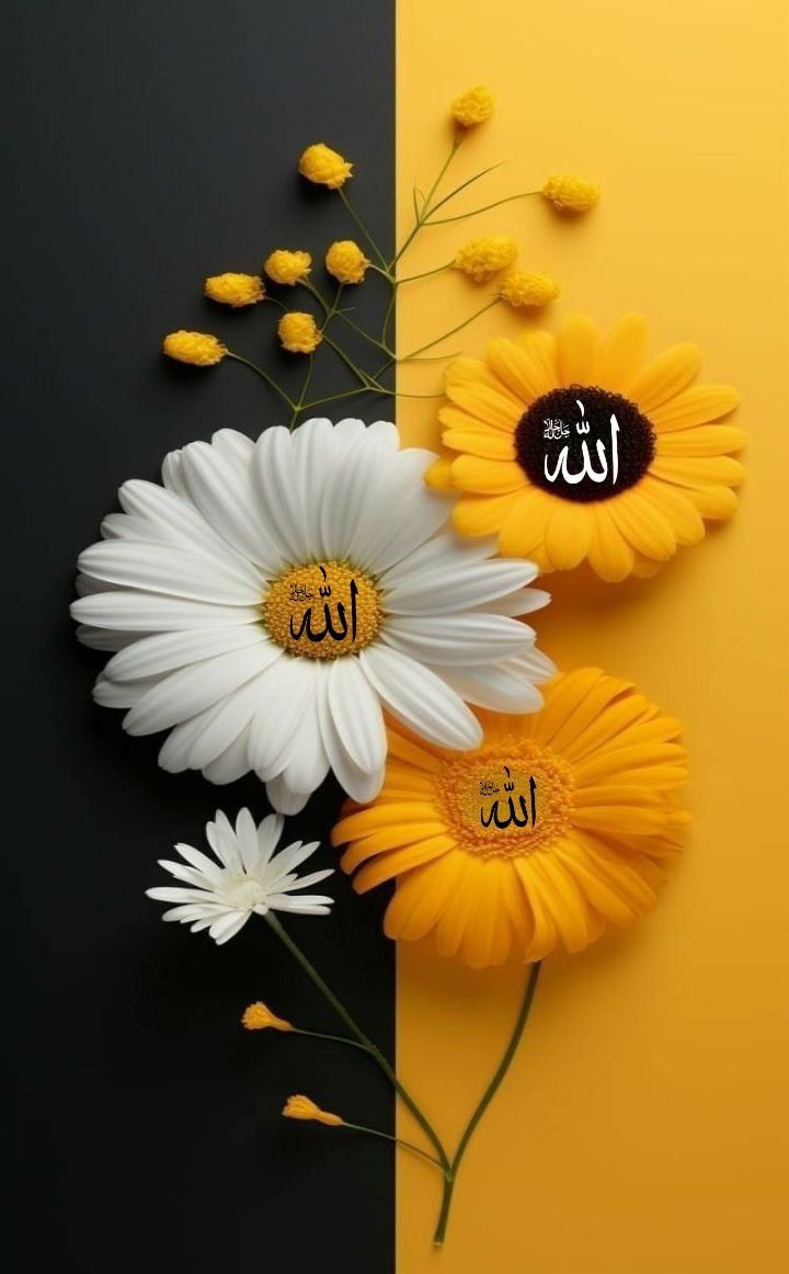 #النصر_ابها #boxdel 
Have a nice day Good morning