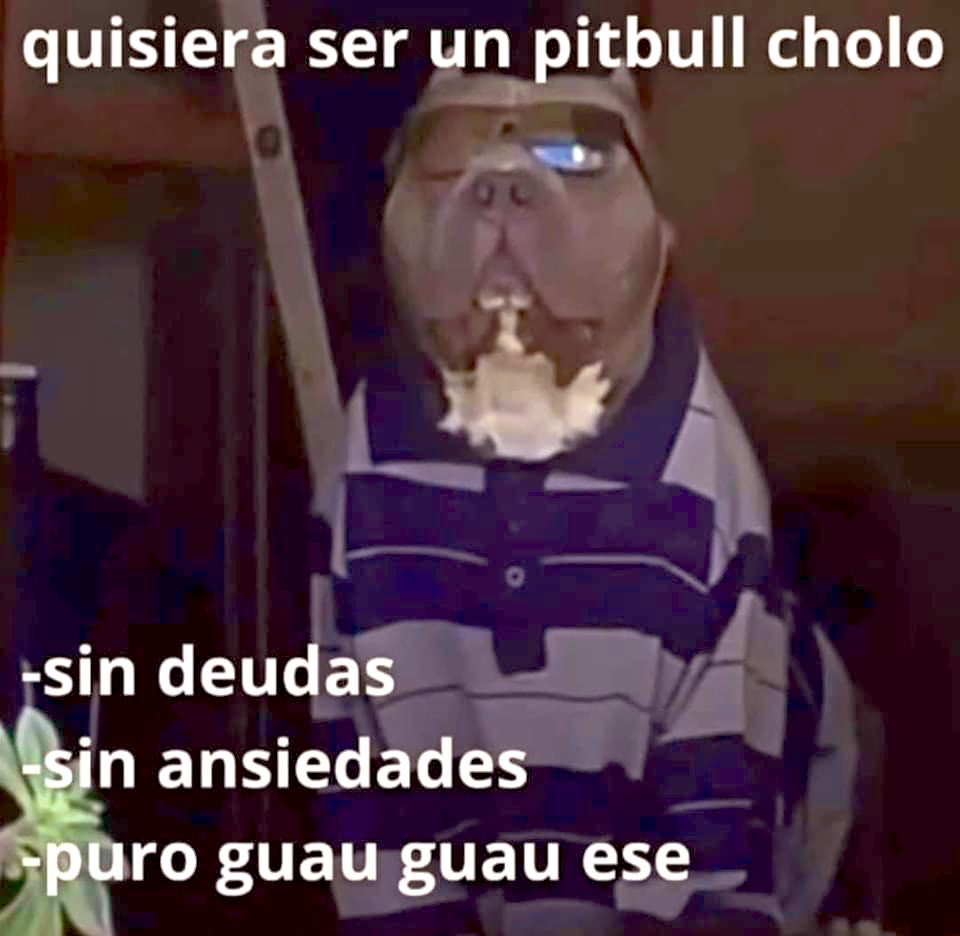 Post by Nuria on X: Chale si, image size:960x936