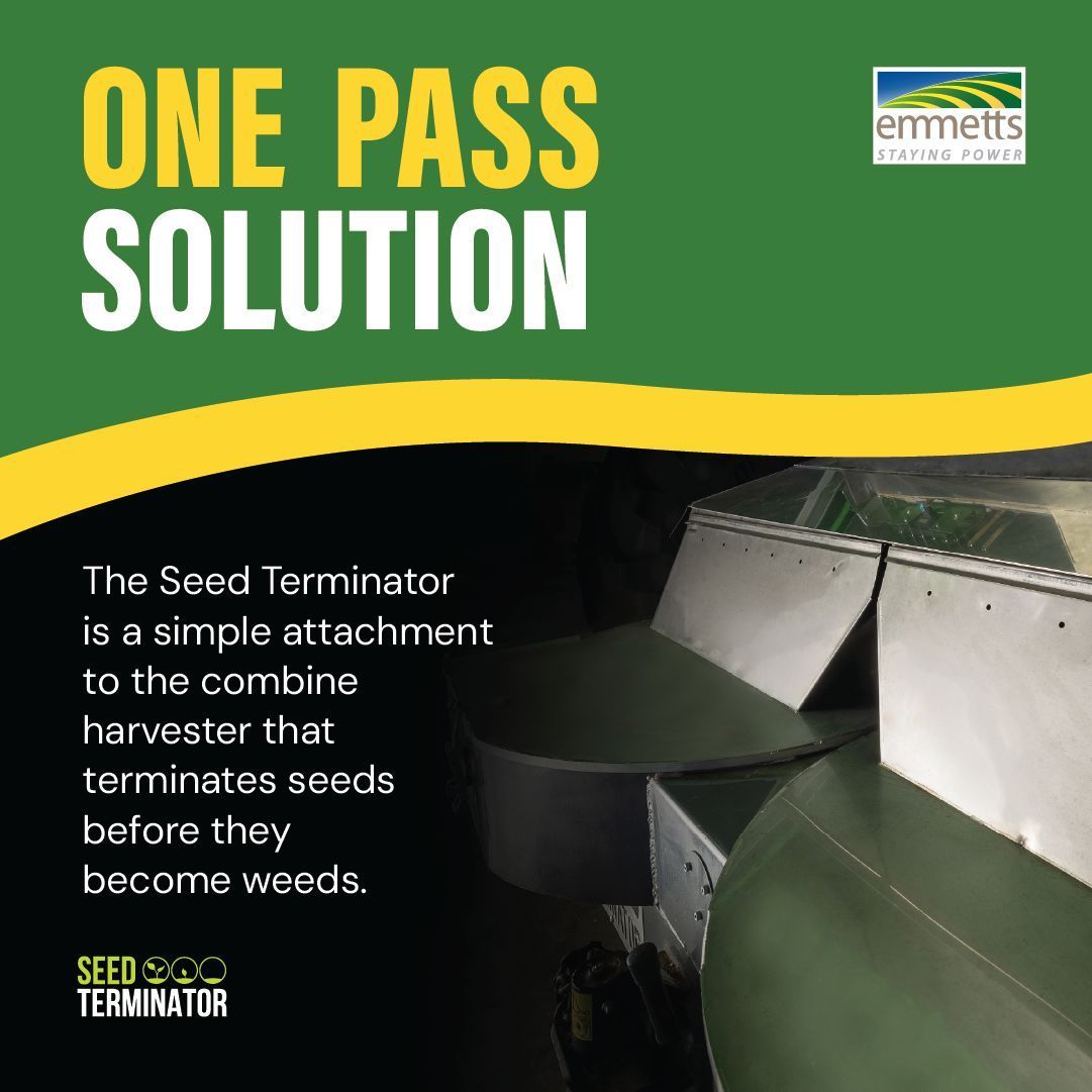 EmmettsGroup's tweet image. With up to 80% of weed seeds being harvested along with the crop, it makes sense to tackle weeds at harvest while you&apos;re already in the paddock 🌾

#SeedTerminator #Emmetts #AgTech #AustralianFarming