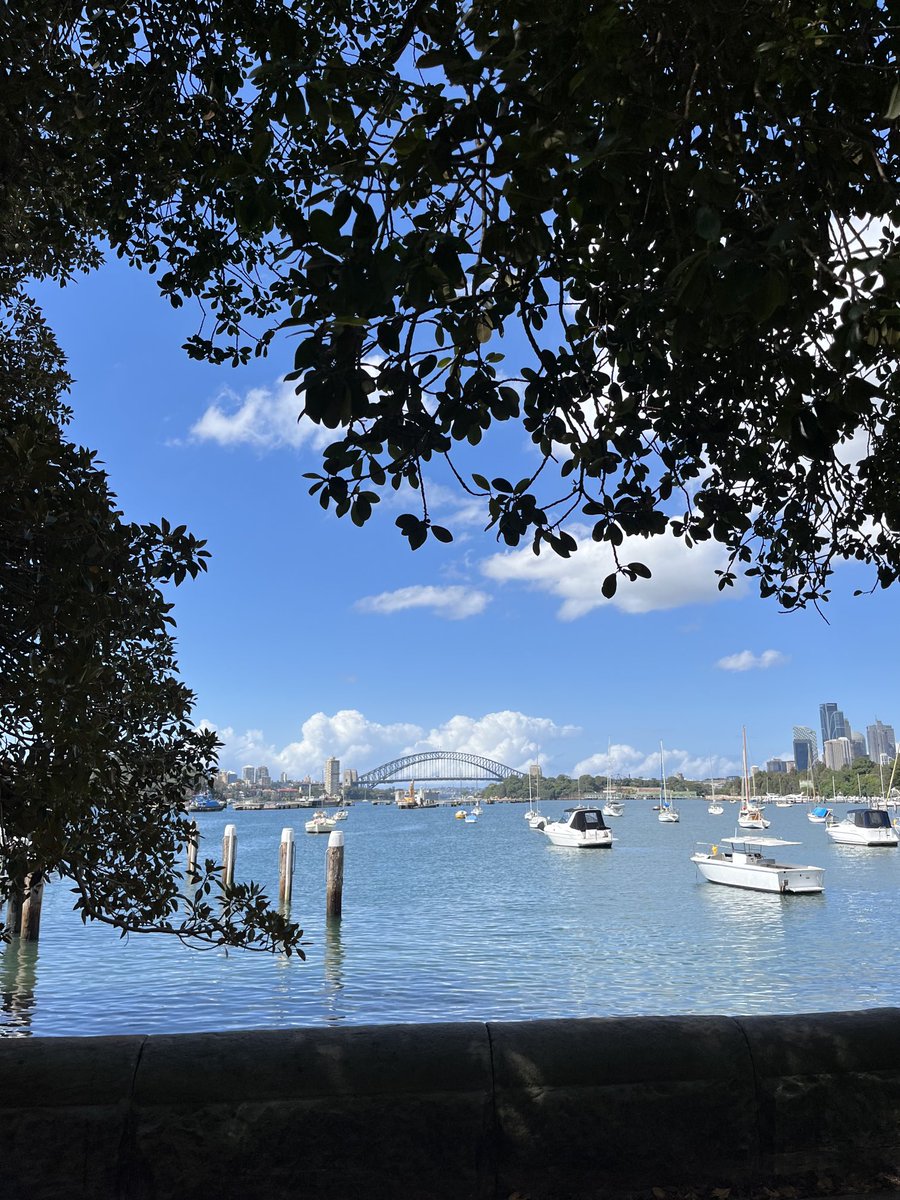 Went for a lunchtime walk - two grizzled old blokes on a bench looking at this view, discussing meditation and mindfulness - what’s not to like? #Sydneyautumn