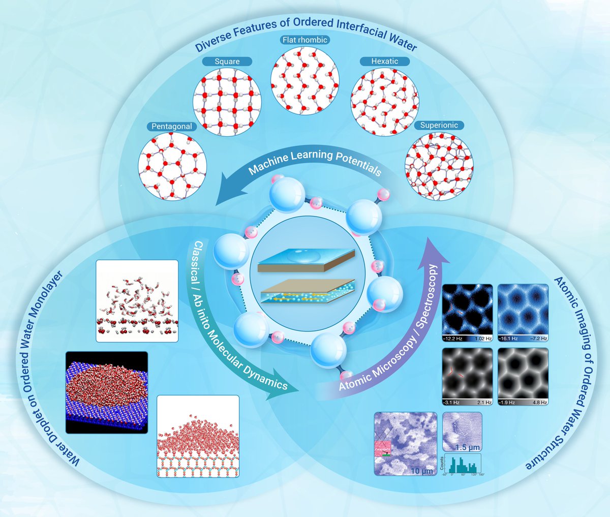 New in The Innovation Materials! Diverse phases of water molecules confined at nanoscale. Zhou and Wang summarized the #research findings and the challenges that remain unresolved in the field of ordered interfacial water. They aim to spark widespread interest in the study of…