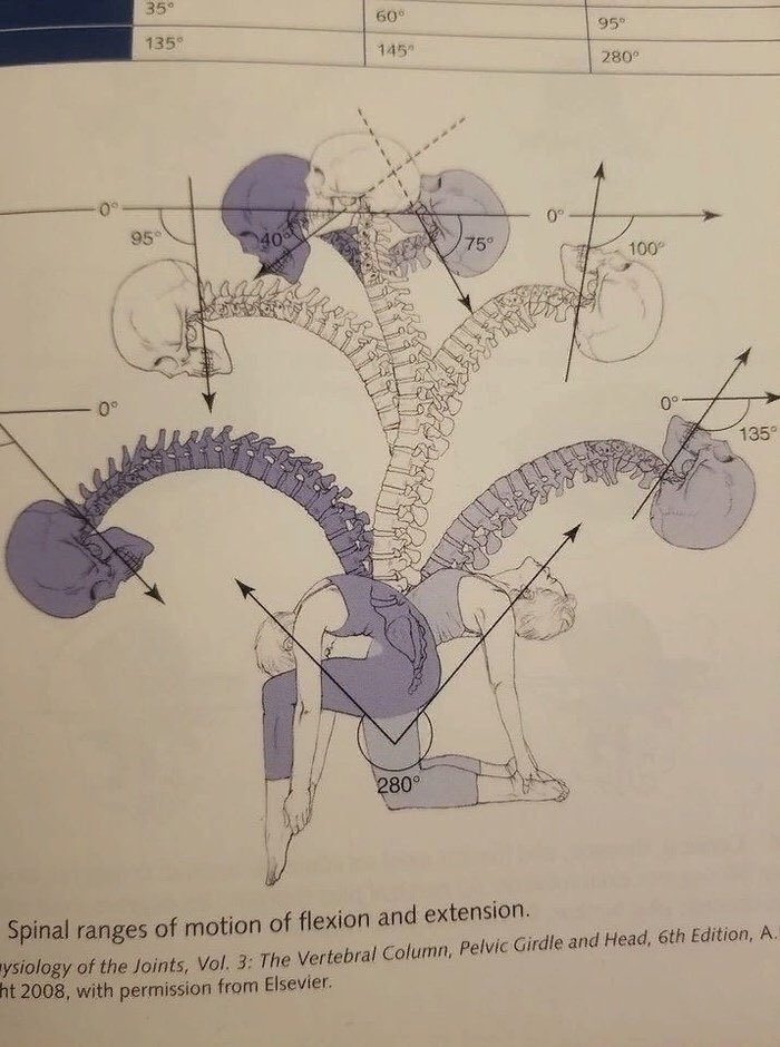 CZYRD's tweet image. There’s a souls-like quality to this medical diagram, seven heads, two people… Adam and Eve metaphor, seven deadly sins, etc.