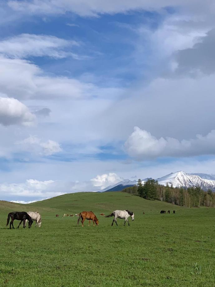 joxntech's tweet photo. This is not Switzerland, but Altay, Xinjiang in Apri https://t.co/VbZ5fkO2fw