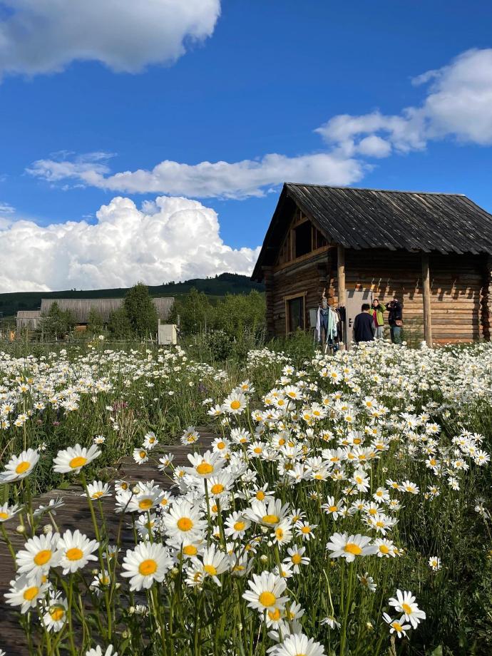 joxntech's tweet photo. This is not Switzerland, but Altay, Xinjiang in Apri https://t.co/VbZ5fkO2fw